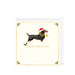 The Art File Santa Paws Dogs - Pack of 10 Christmas Cardsg