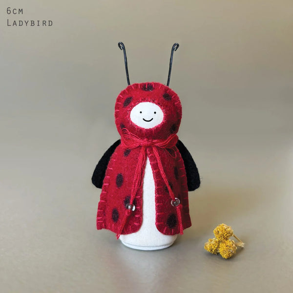 East of India Woodland Bug - Ladybird