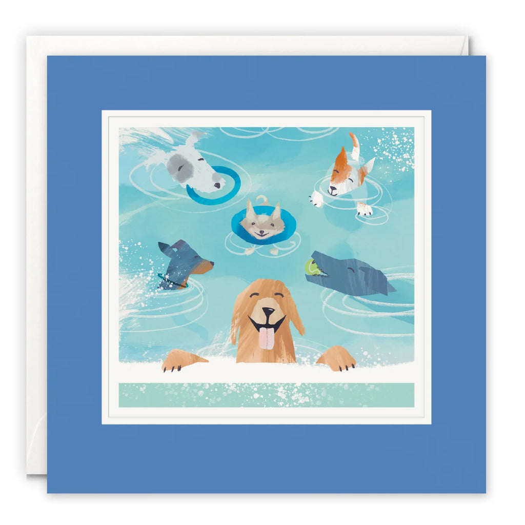 A square greeting card with a blue border and a white envelope behind it. The card features an illustration of several playful dogs swimming in a light blue pool.