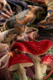 Powder Luxurious Scarf - Wild Woodland Owl