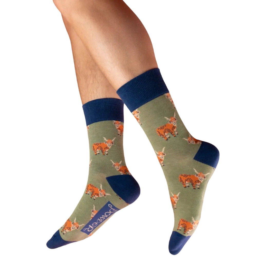 Powder Men's Socks - Handsome Highland Cows in Sage