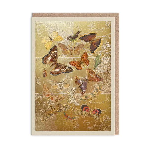 Ohh Deer Lepidoptera Greeting Card