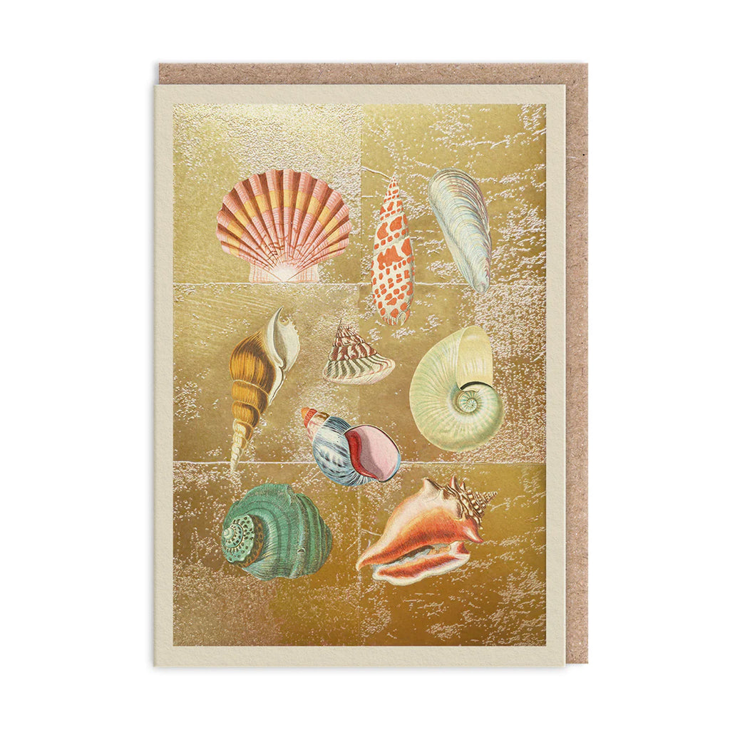 Ohh Deer Shell Collection Greeting Card