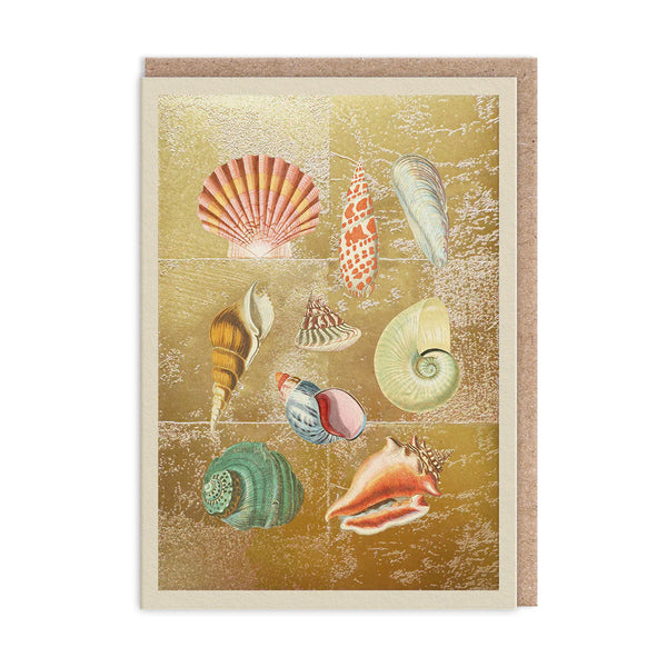 Ohh Deer Shell Collection Greeting Card