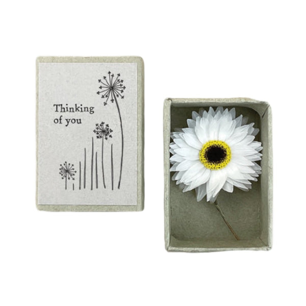East of India Dried Flower Matchbox - Thinking Of You