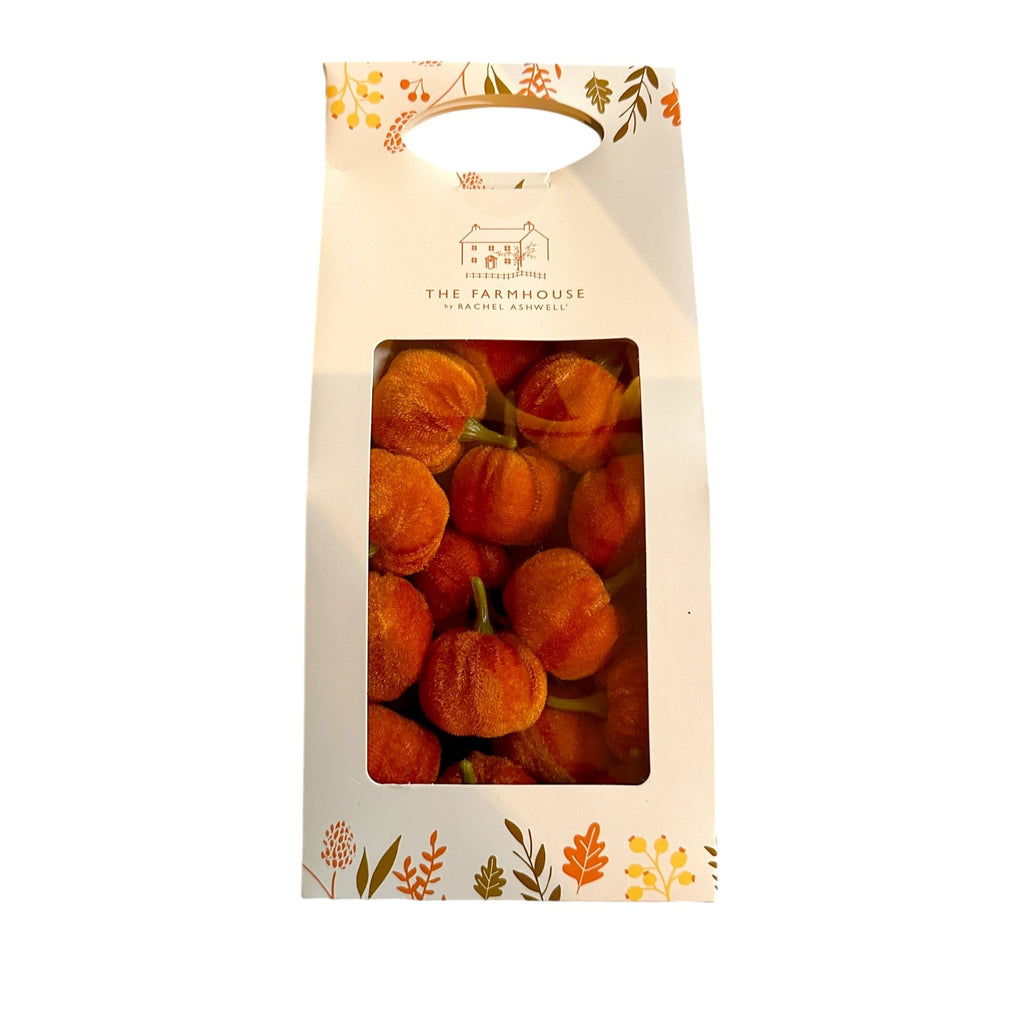 The Farmhouse by Rachel Ashwell - Set of 24 Mini Velvet Pumpkins