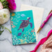 The Art File Sara Miller Turtle Notecard Box
