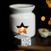 Freckleface Winter Collection - Christmas Star - Individual Soya Wax Melt