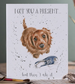 Wrendale 'I Got You a Present…' Birthday Card