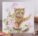 Wrendale 'The Marmalade Cat' Card