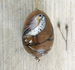 East of India Hanging Wooden Egg - Mistle Thrush