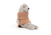 Jellycat Cozy Crew Seal