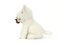 Jellycat Munro Scottie Dog 'Love You'