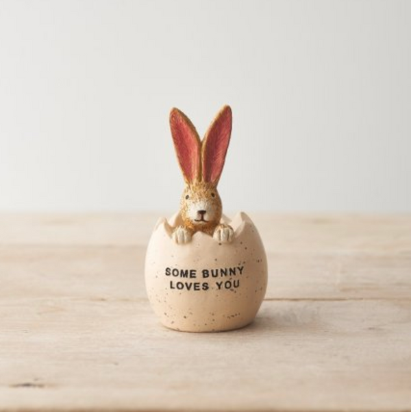 Jasper Rabbit Bunny Love