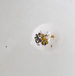 Bomb Cosmetics Lavender & Chamomile Bomb Raw Bath Blaster