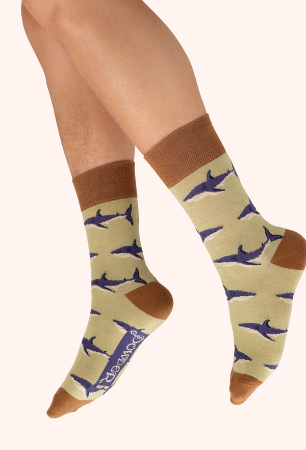 Powder Men's Socks - Sharky, Sage