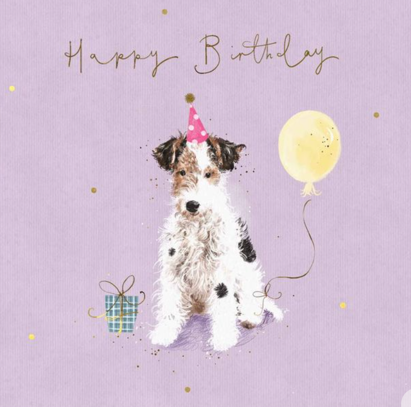 Whistlefish Bashful Jack Russell Birthday Card (Copy)