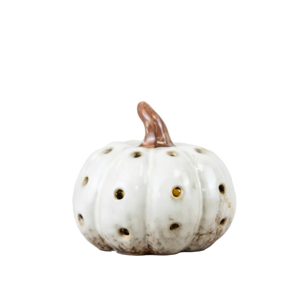 Decorative pumpkin with brown stem on a white background