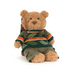 Stuffed teddy bear wearing a sweater and backpack on a white background