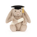Plush toy rabbit wearing a graduation cap and gown on a white background