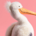 Stuffed pelican toy against a pink background