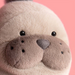 Close-up of a plush toy with a pink background
