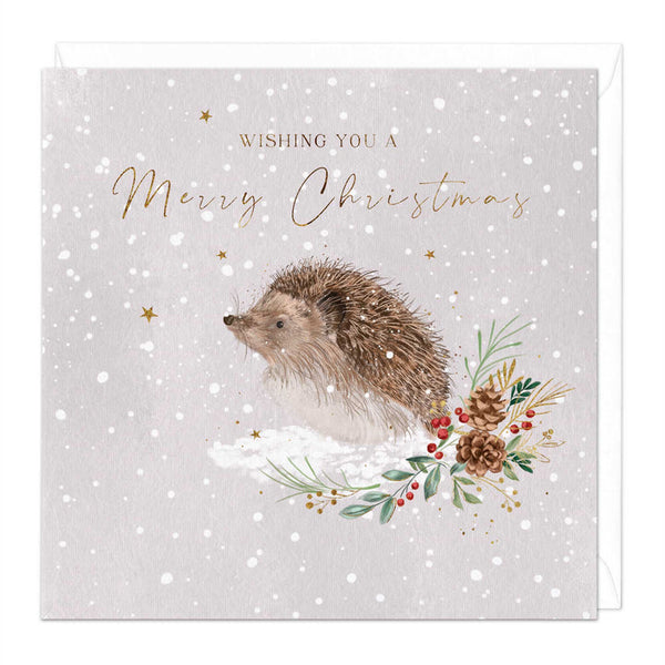 Whistlefish Snow Hedgehog Christmas Card