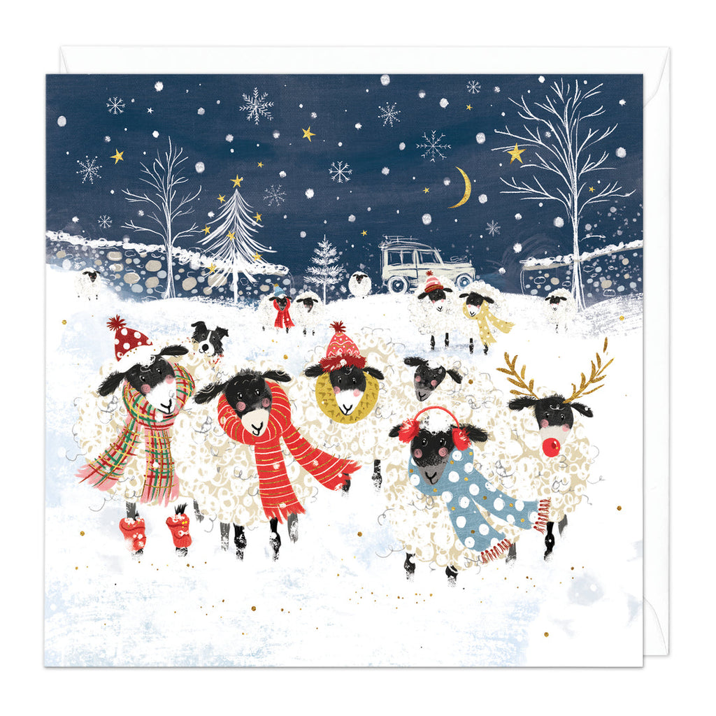 Whistlefish Wrap Up Warm, Sheep Christmas Card