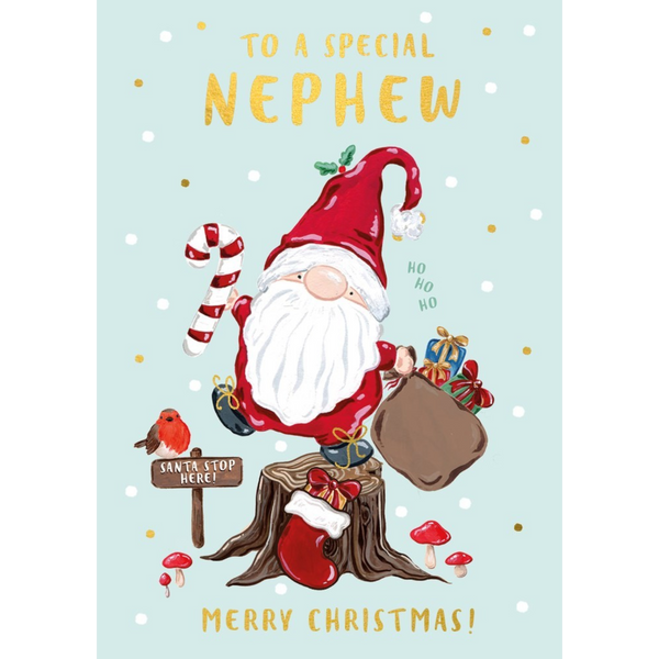 Mrs Best Paper Co. Christmas card for a special nephew featuring a gnome with a candy cane and gold foil accents