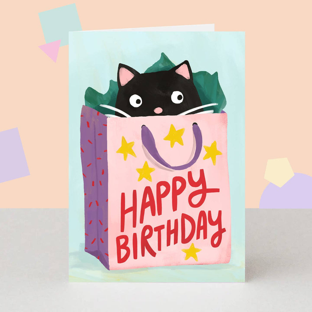 The London Studio Cute Cat in Gift Bag Birthday Card