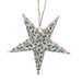 Gisela Graham Holly Pattern Paper Star