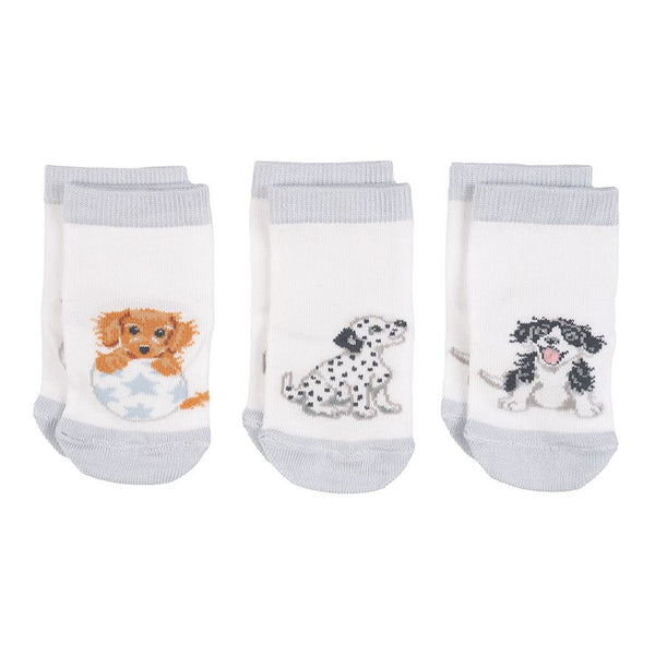 Wrendale 'Little Paws' Dog Baby Socks - 6-12 Months