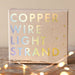 Lisa Angel 30 Battery Powered LED Copper Wire String Lights