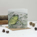 Mrs Best Paper Co. square greeting card featuring a green toad pen and ink illustration with biodegradable glitter.