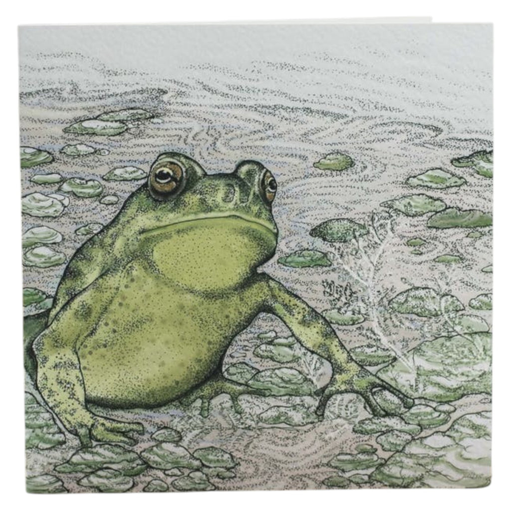 Mrs Best Paper Co. square greeting card featuring a detailed pen and ink illustration of a green toad in a pond.