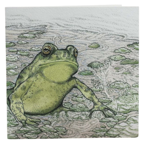 Mrs Best Paper Co. square greeting card featuring a detailed pen and ink illustration of a green toad in a pond.