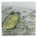 Mrs Best Paper Co. square greeting card featuring a detailed pen and ink illustration of a green toad in a pond.