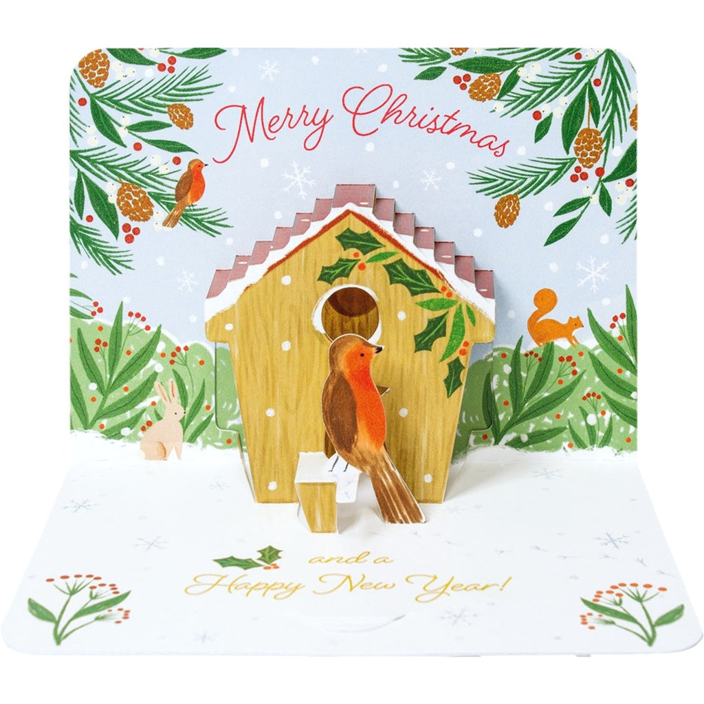 The Art File Robin & Birdhouse Luxury Pop Up Box Christmas Cards Set of 5