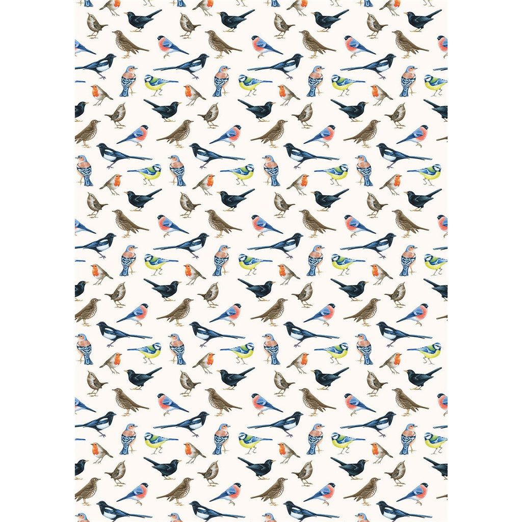 The Art File British Birds Roll Wrap