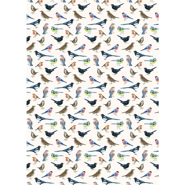 The Art File British Birds Roll Wrap