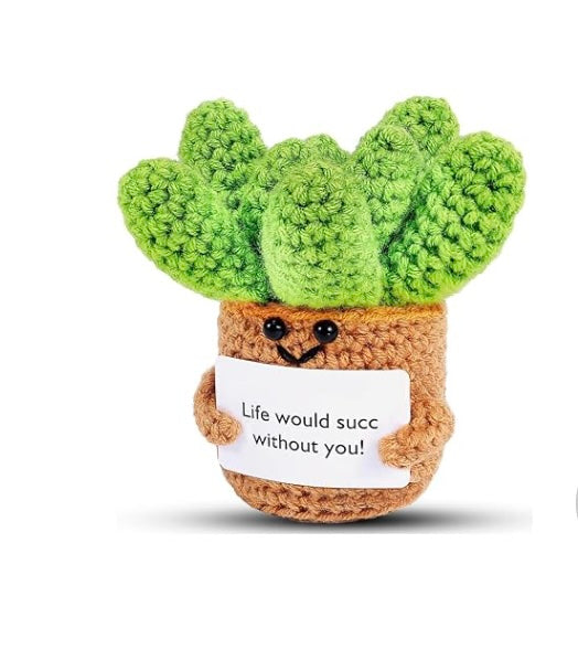 Crochet Succulent Gift