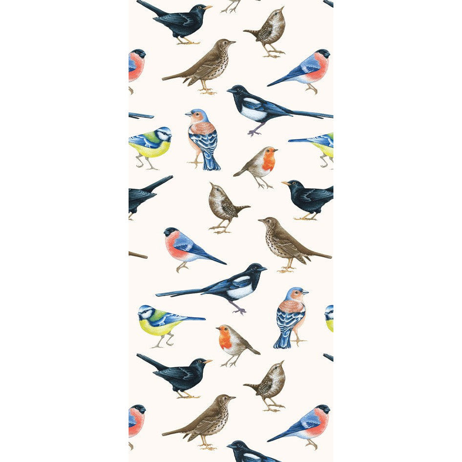 The Art File British Birds Tissue Paper - Pack of 4