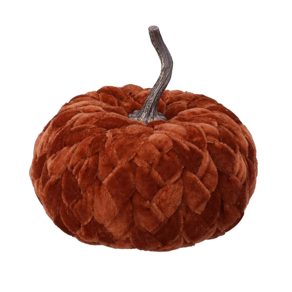 Brown textured pumpkin on a white background