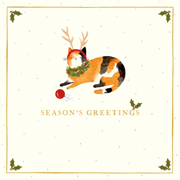 The Art File Santa Paws Cats - Pack of 10 Christmas Cards