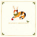 The Art File Santa Paws Cats - Pack of 10 Christmas Cards