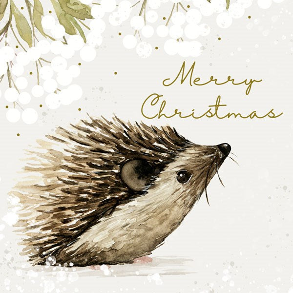 The Art File Charity Card Pack Merry Christmas Hedgehog