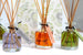 Agnes + Cat 140ml Reed Diffuser - Citrus