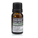 Ancient Wisdom Sage Essential Oil