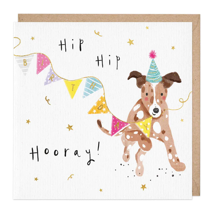 Whistlefish Hip Hip Hooray Birthday Card