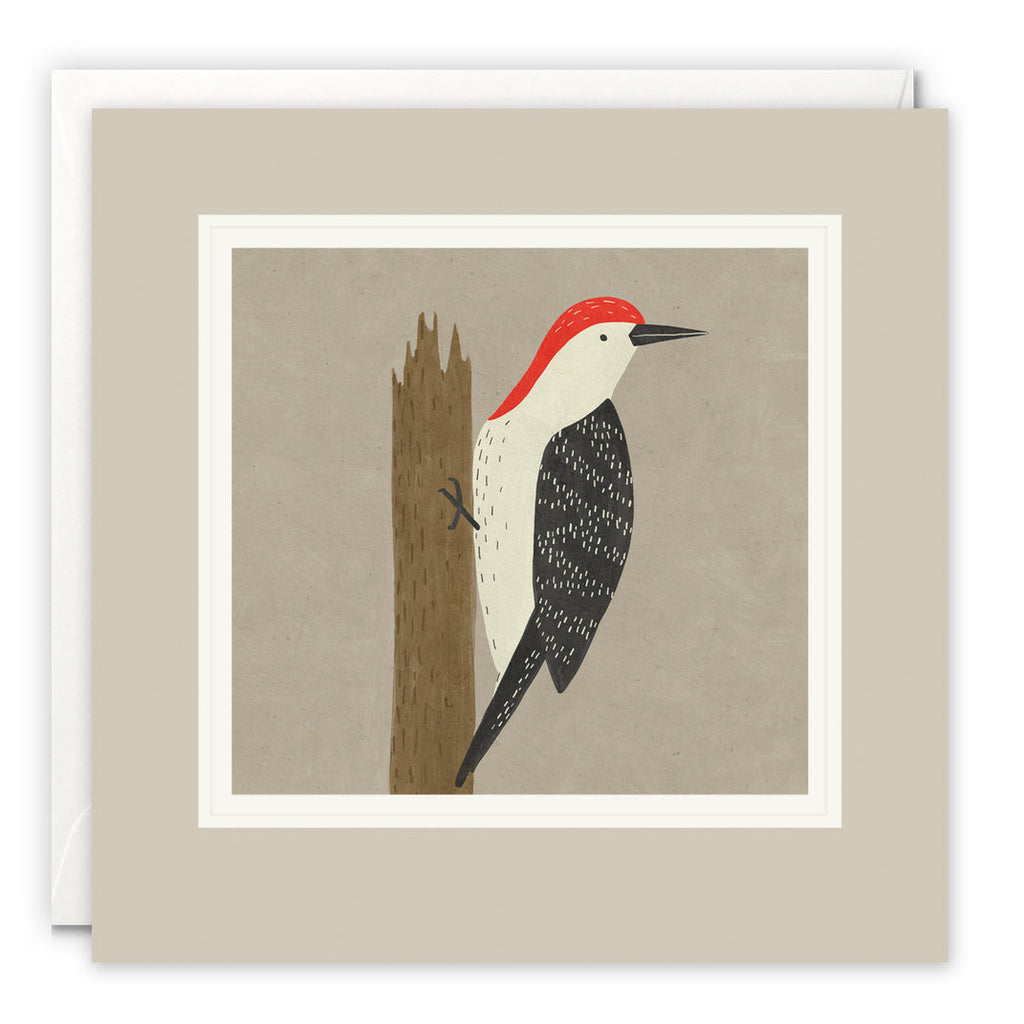James Ellis Woodpecker Paintworks Card